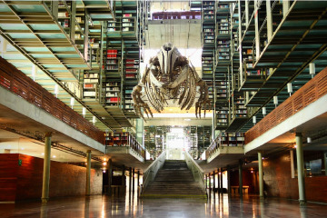 Biblioteca José Vasconcelos