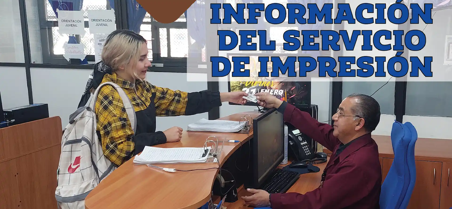 información del servicio de impresión de UDI