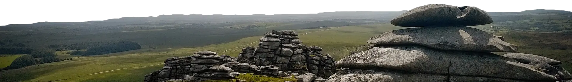 Pie de Pagina del Consejo Técnico Consultivo Escolar de ESIA Ticomán Unidad Ciencias de la Tierra