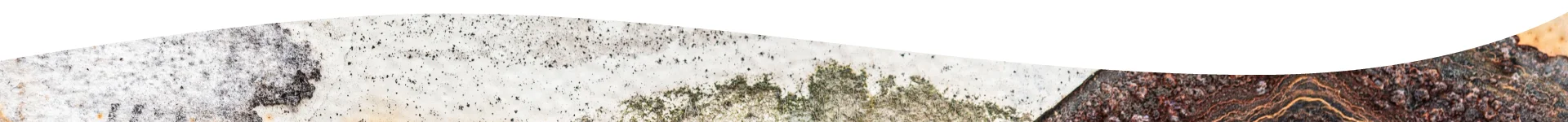 pie de página de la sección de petrográfica del Museo de Geología y Paleontología de ESIA Ticomán