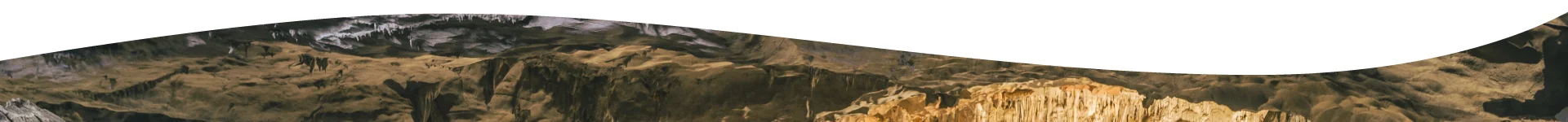 pie de página de visitas guiadas del Museo de Geología y Paleontología de ESIA Ticomán